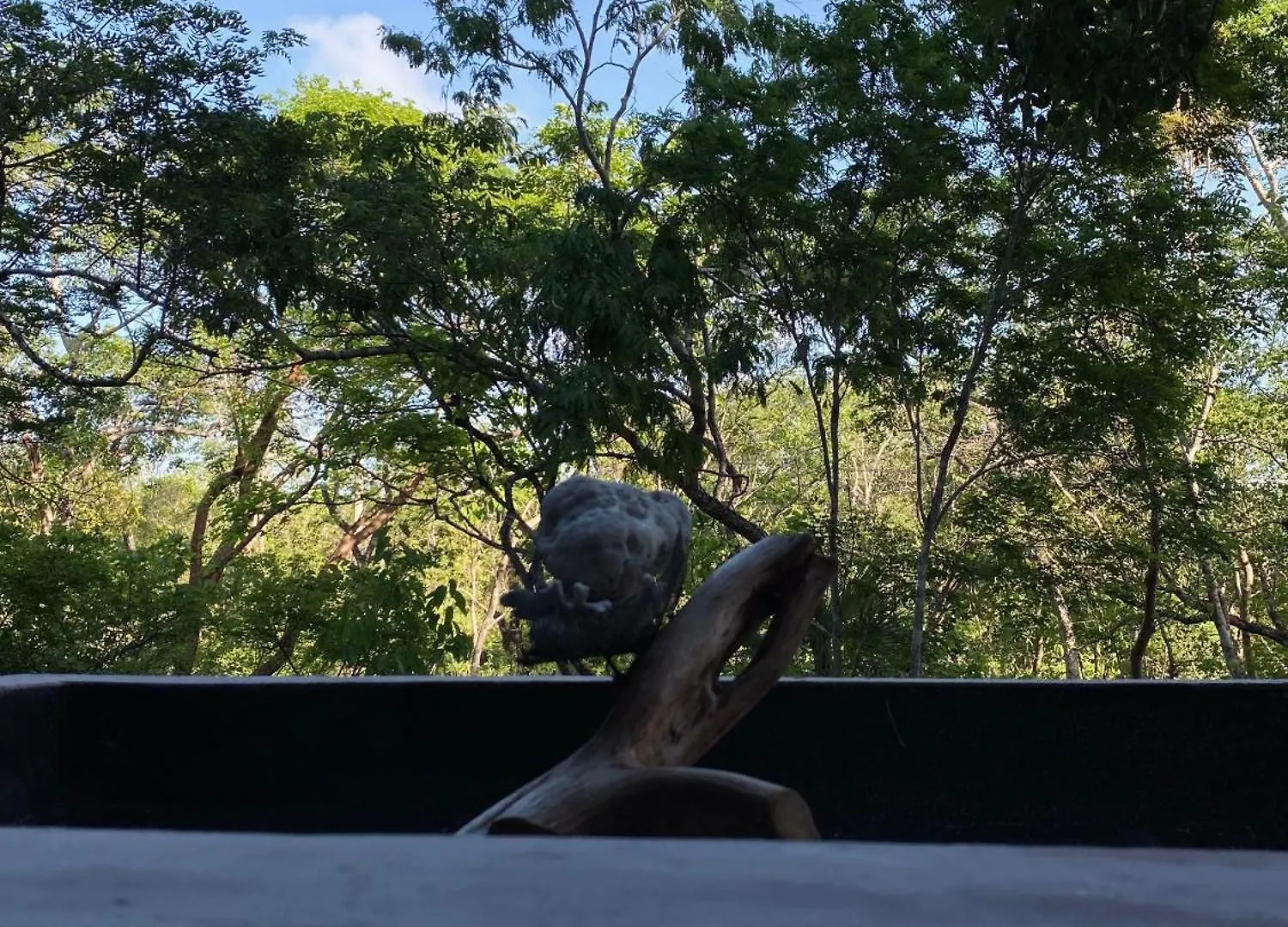 La Veleta Modern Jungle Living Apartment Tulum