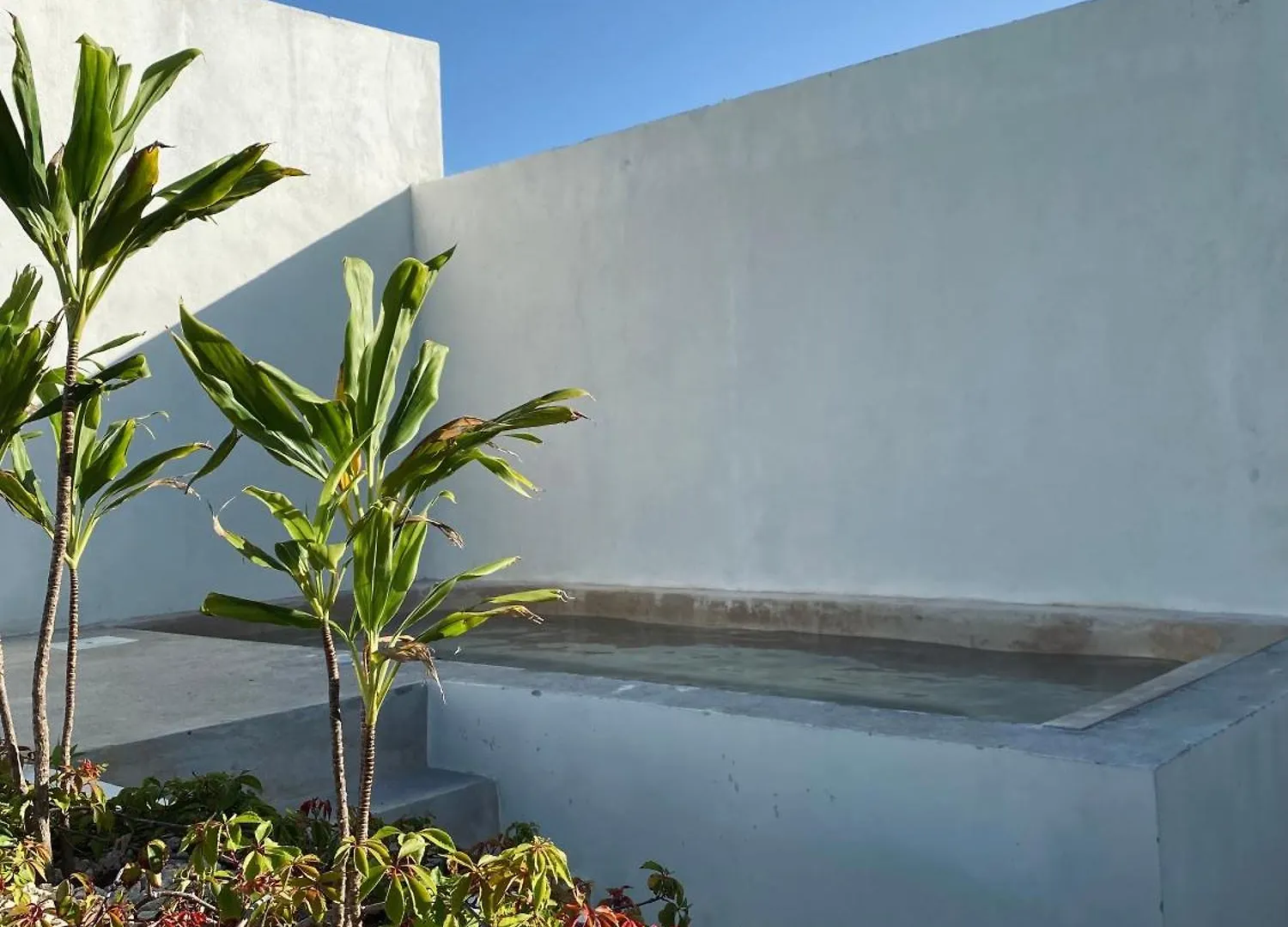La Veleta Modern Jungle Living Apartment Tulum Mexico